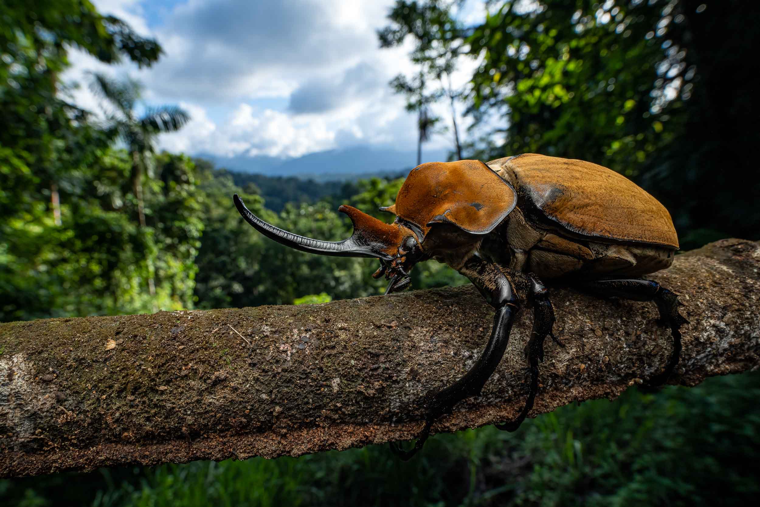 Craghoppers Costa Rica